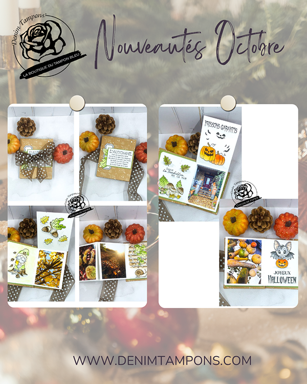 visuel octobre 5