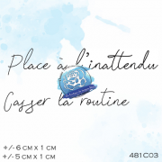 481c03