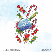 488c05