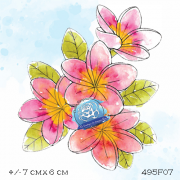 495f07