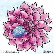 499e03