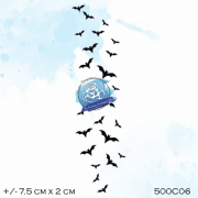 500c06