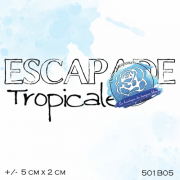 501b05